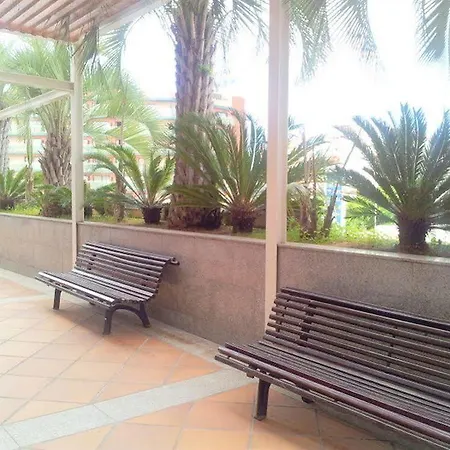 Condado By Marsol