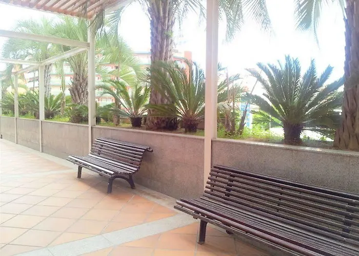 Condado By Marsol